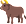 วัว