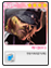 Small Image Shop