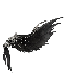 Small Image Shop