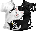 UCC Item