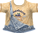 UCC Item